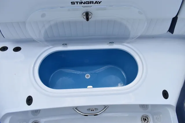 Slide: The Image of Stingray 231DC 2026 - 29