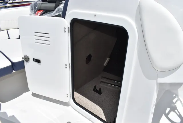 Slide: The Image of Stingray 231DC 2026 - 48