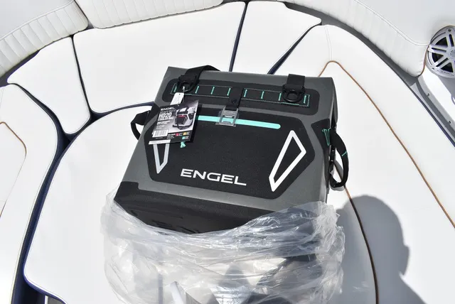 Slide: The Image of Stingray 231DC 2026 - 52