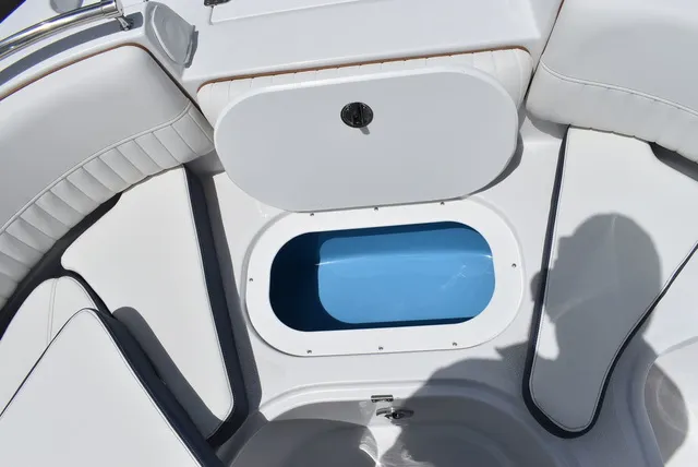 Slide: The Image of Stingray 231DC 2026 - 59