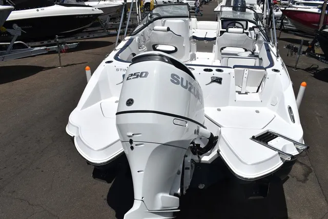 Slide: The Image of Stingray 231DC 2026 - 6