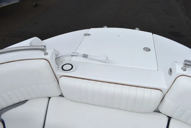 Slide: The Image of Stingray 231DC 2026 - 61