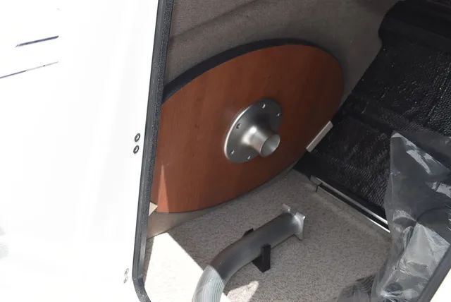 Slide: The Image of Stingray 231DC 2026 - 63