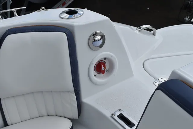Slide: The Image of Stingray 231DC 2026 - 66