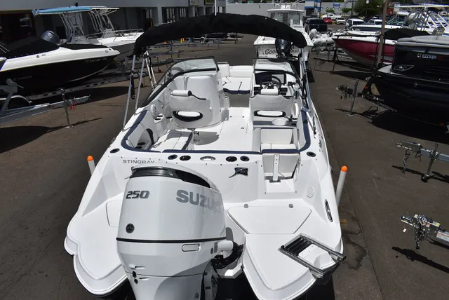 Slide: The Image of Stingray 231DC 2026 - 7