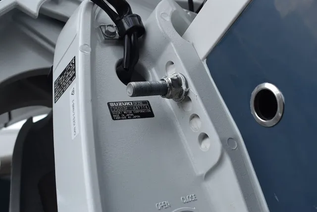 Slide: The Image of Stingray 231DC 2026 - 72