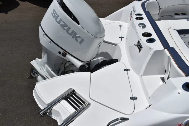 Slide: The Image of Stingray 231DC 2026 - 8