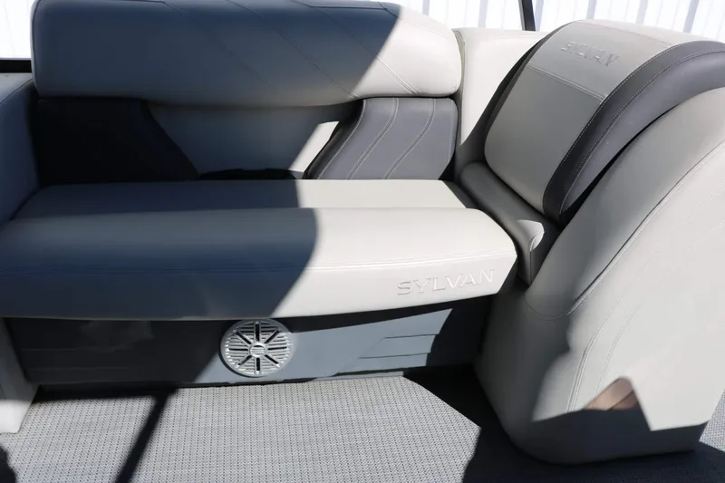 Slide: The Image of Sylvan Mirage 820 Party Fish 2023 - 50