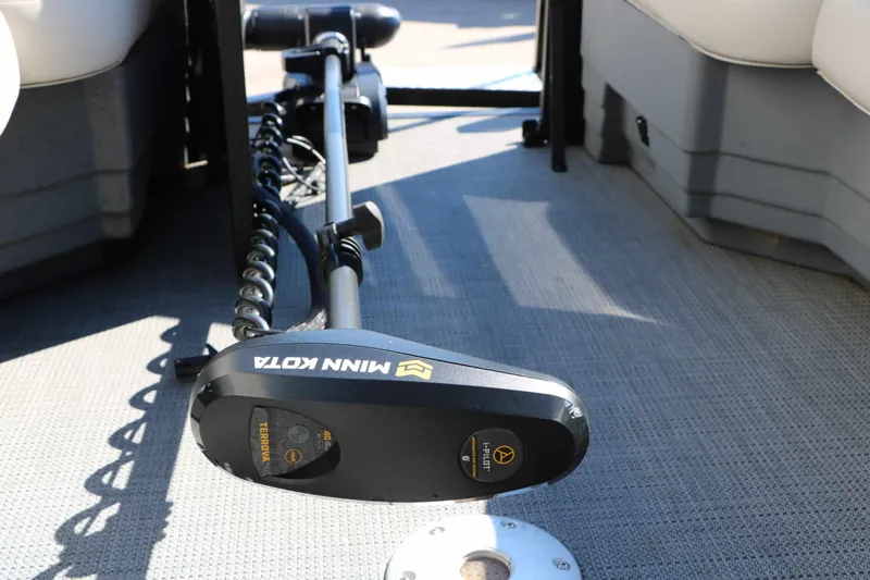 Slide: The Image of Sylvan Mirage 820 Party Fish 2023 - 14