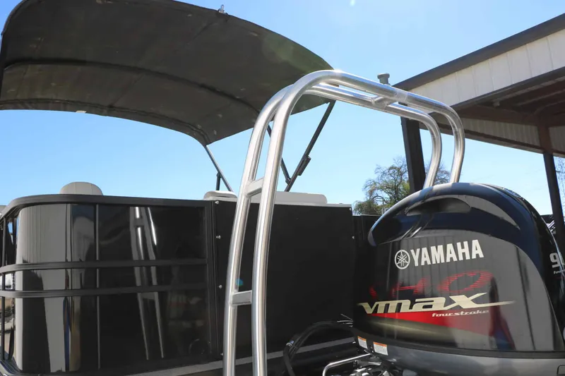 Slide: The Image of Sylvan Mirage 820 Party Fish 2023 - 16