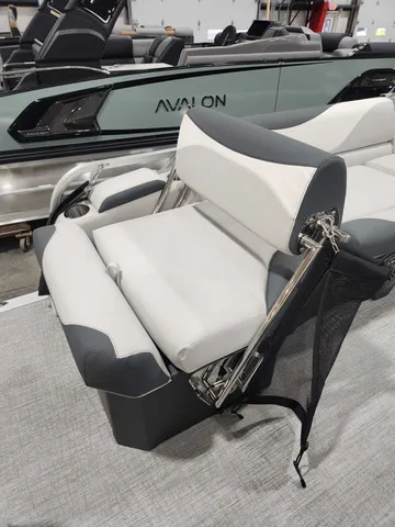Slide: The Image of Avalon 2385 25 LSZ QLS 2026 - 10