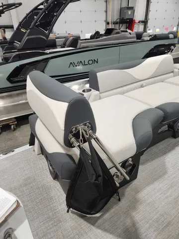 Slide: The Image of Avalon 2385 25 LSZ QLS 2026 - 13