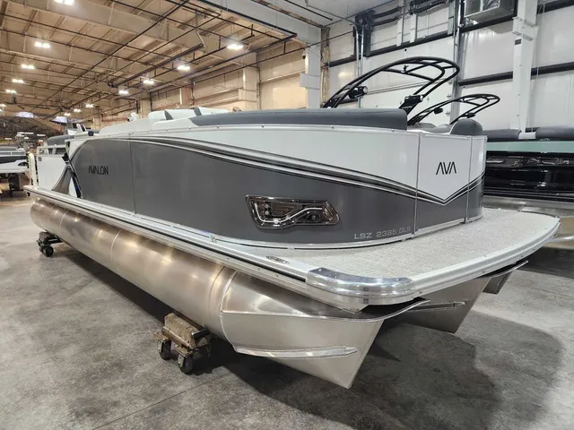 Slide: The Image of Avalon 2385 25 LSZ QLS 2026 - 6