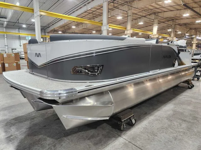 Slide: The Image of Avalon 2385 25 LSZ QLS 2026 - 9