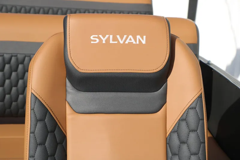 Slide: The Image of Sylvan L3 DLZ Platinum Edition Tri-Toon 2026 - 35