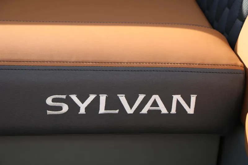 Slide: The Image of Sylvan L3 DLZ Platinum Edition Tri-Toon 2026 - 31