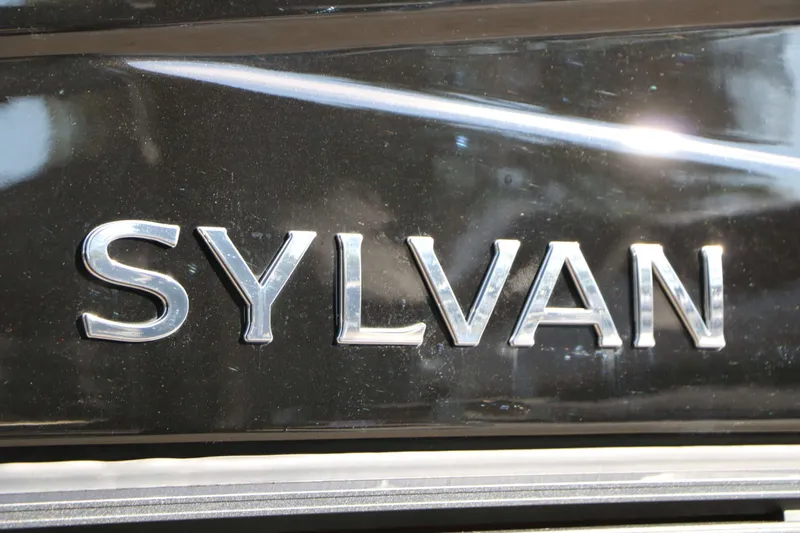 Slide: The Image of Sylvan L3 DLZ Platinum Edition Tri-Toon 2026 - 13