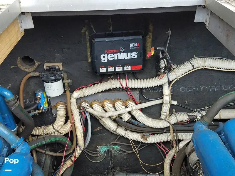 Slide: The Image of Sea Ray SRV 360 Express Cruiser 1980 - 6180684