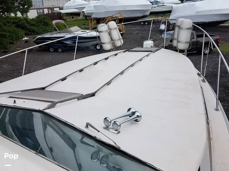 Slide: The Image of Horn - 6180675