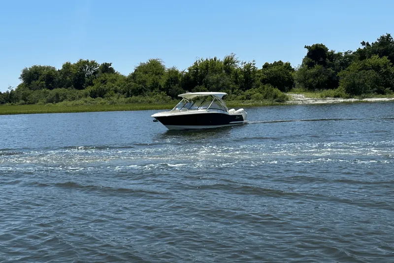 Slide: The Image of Scout 255 Dorado 2025 - 7