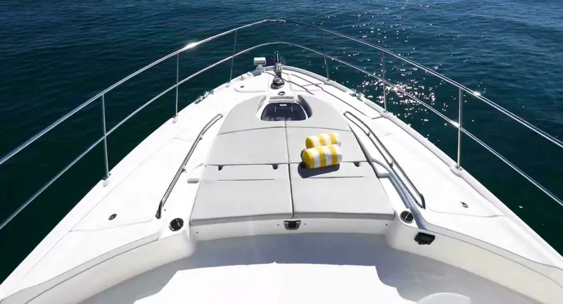 Slide: The Image of Sea Ray L650 Fly "Jeanne Rose" 2018 - 13