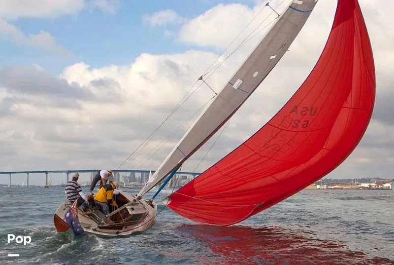 Slide: The Image of Australian Square Metre 1940 - 6006692