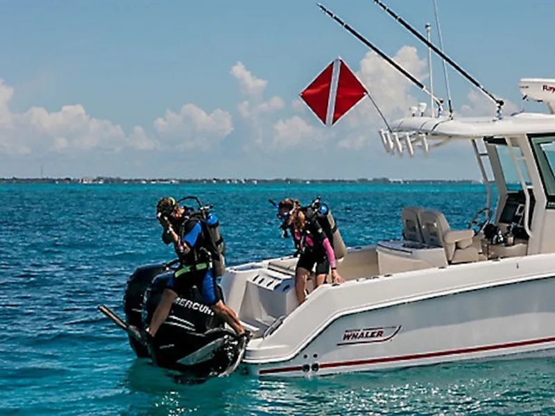 Slide: The Image of Boston Whaler 280 Outrage 2026 - 2