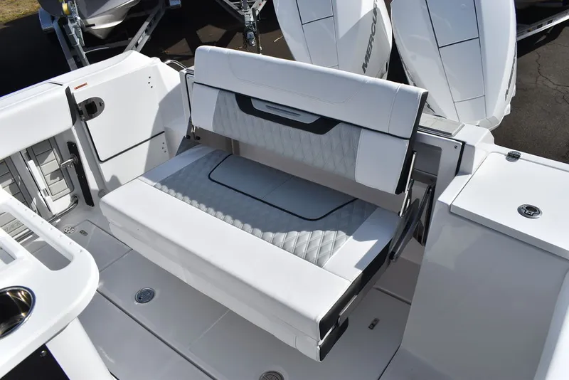 Slide: The Image of Blackfin 252CC 2025 - 26