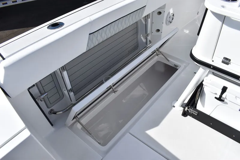 Slide: The Image of Blackfin 252CC 2025 - 34