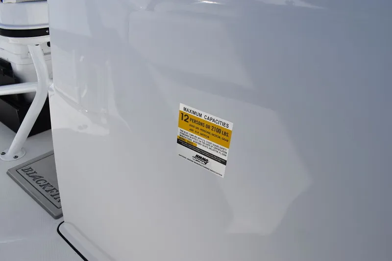 Slide: The Image of Blackfin 252CC 2025 - 52