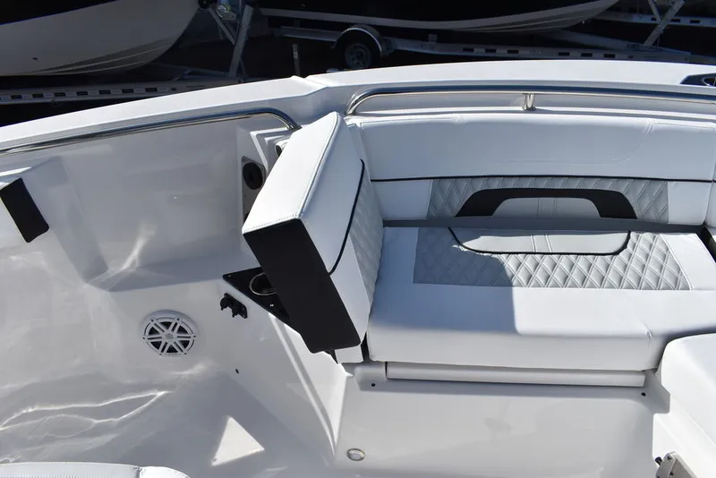 Slide: The Image of Blackfin 252CC 2025 - 62