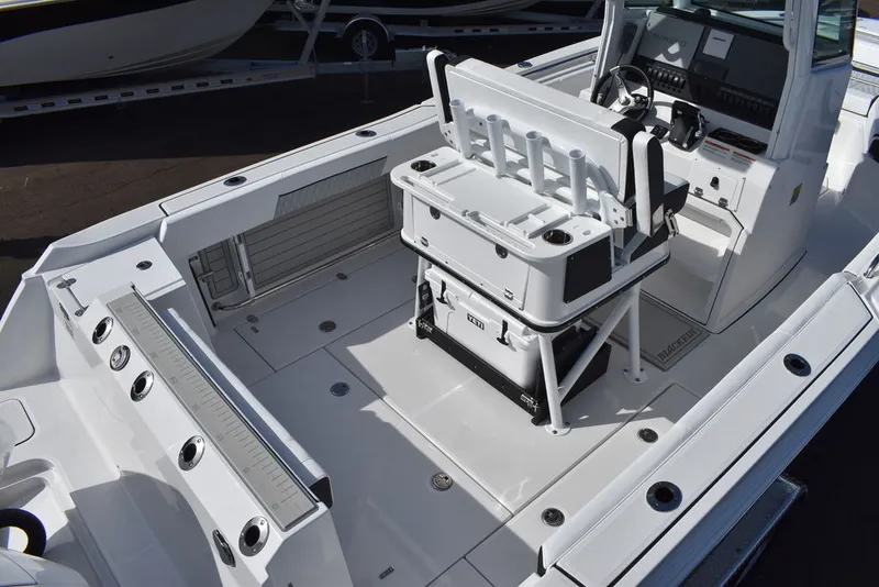 Slide: The Image of Blackfin 252CC 2025 - 9