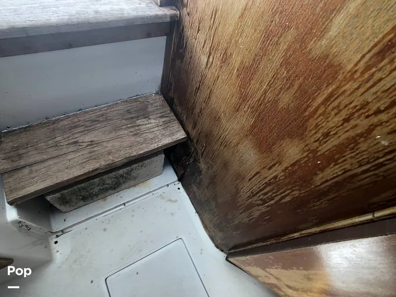 Slide: The Image of Rampage 28 Sportsman 1988 - 6551013