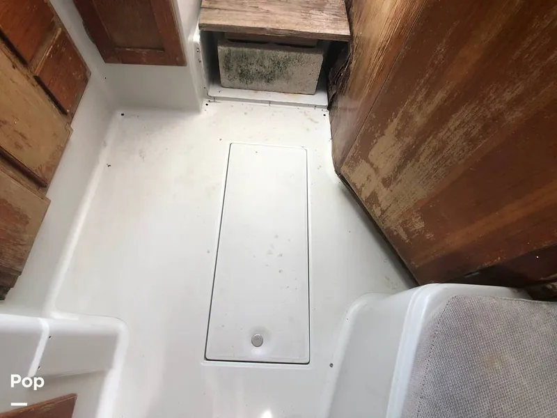 Slide: The Image of Rampage 28 Sportsman 1988 - 6551014