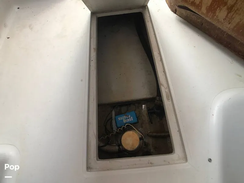 Slide: The Image of Rampage 28 Sportsman 1988 - 6551017