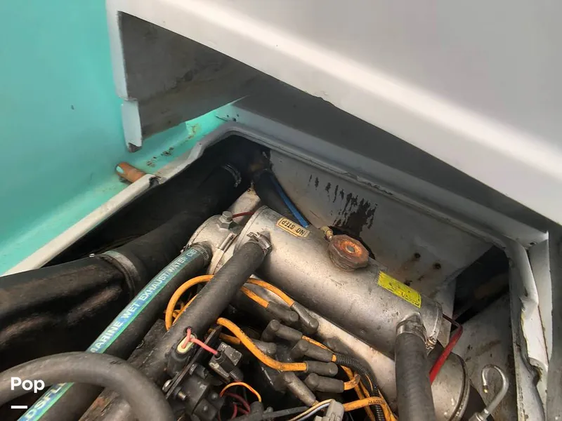 Slide: The Image of Rampage 28 Sportsman 1988 - 6551028