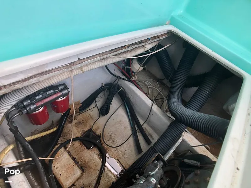 Slide: The Image of Rampage 28 Sportsman 1988 - 6551035