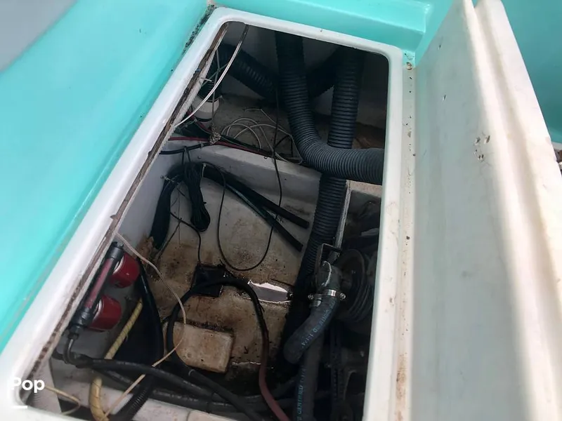 Slide: The Image of Rampage 28 Sportsman 1988 - 6551036