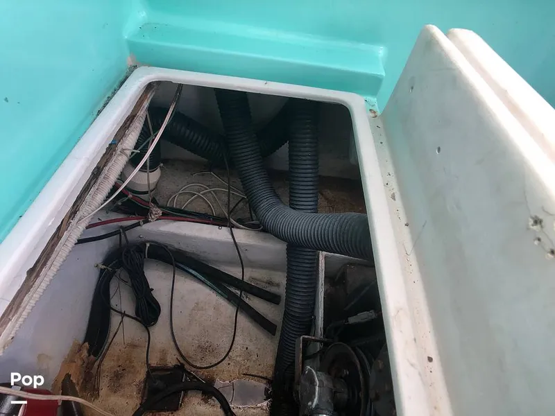 Slide: The Image of Rampage 28 Sportsman 1988 - 6551037