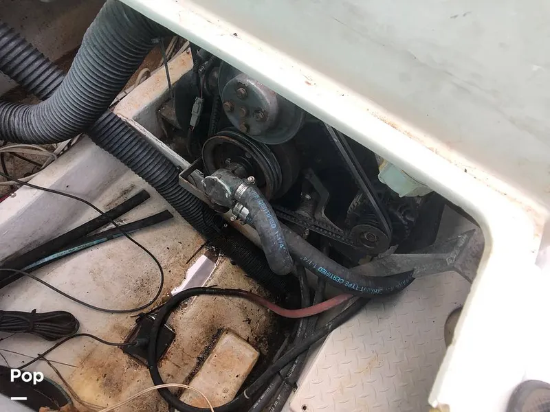 Slide: The Image of Rampage 28 Sportsman 1988 - 6551038