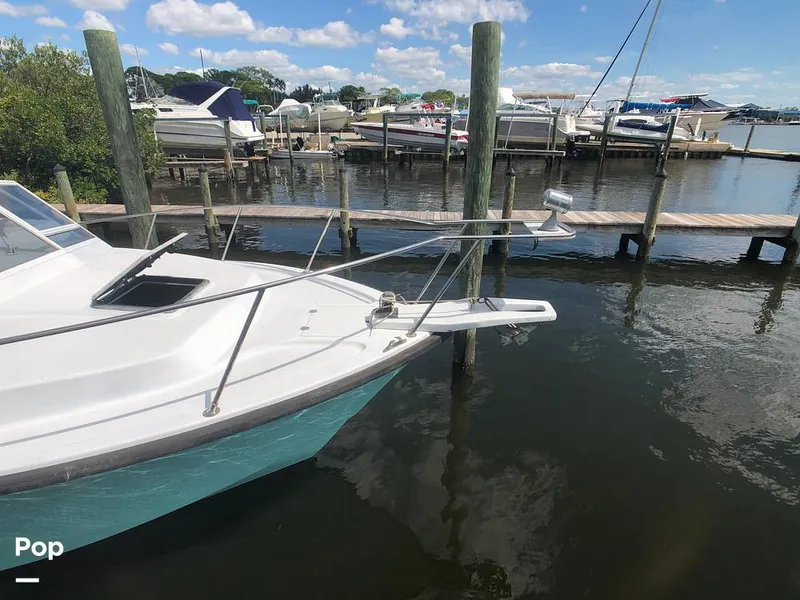 Slide: The Image of Rampage 28 Sportsman 1988 - 6551040