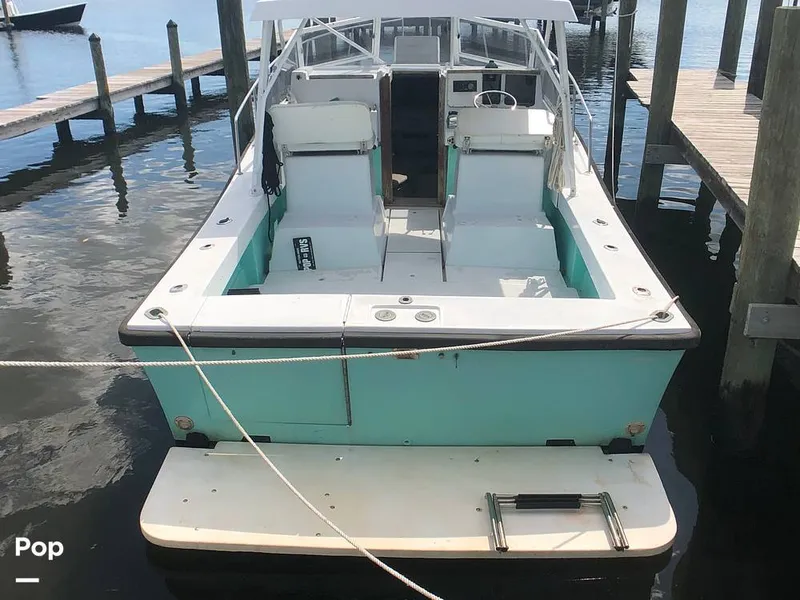 Slide: The Image of Rampage 28 Sportsman 1988 - 6551047