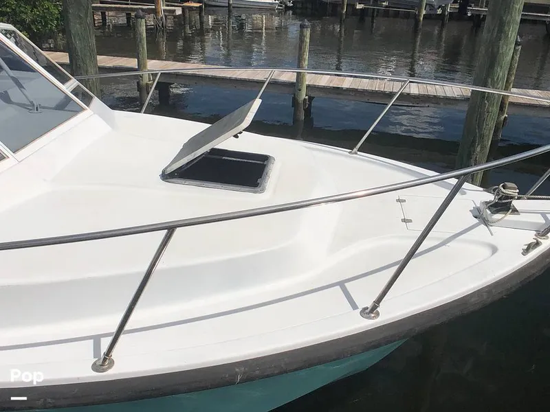 Slide: The Image of Rampage 28 Sportsman 1988 - 6551060