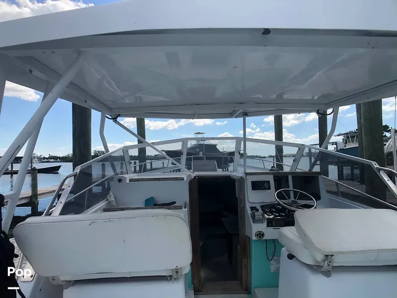 Slide: The Image of Rampage 28 Sportsman 1988 - 6551064