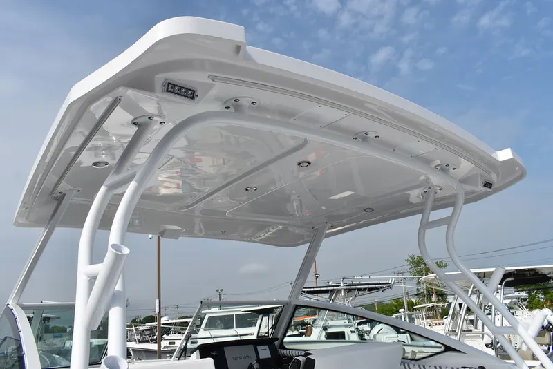 Slide: The Image of Blackfin 272DC 2025 - 24