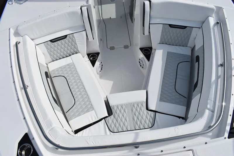 Slide: The Image of Blackfin 272DC 2025 - 28