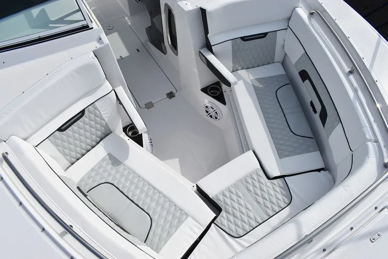 Slide: The Image of Blackfin 272DC 2025 - 31