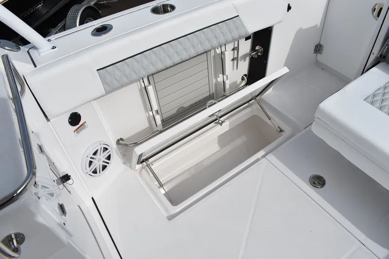 Slide: The Image of Blackfin 272DC 2025 - 35