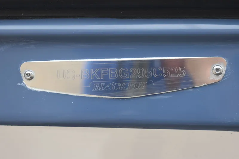 Slide: The Image of Blackfin 272DC 2025 - 45