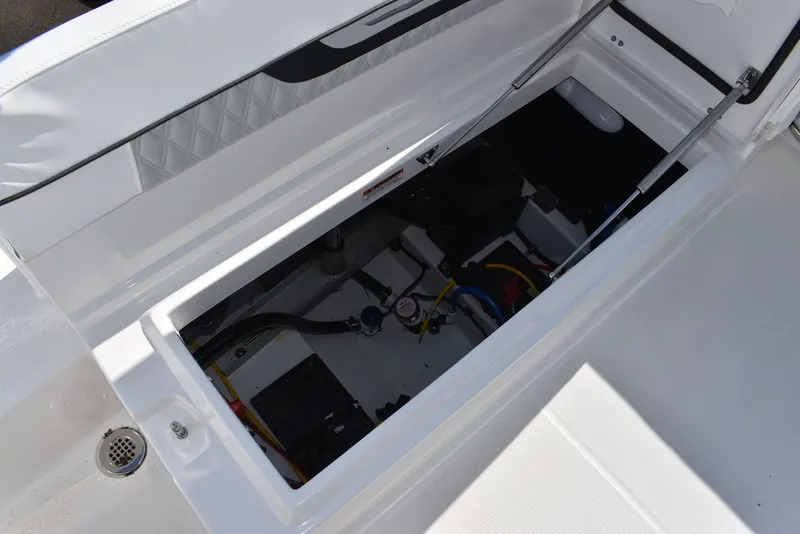 Slide: The Image of Blackfin 222CC 2025 - 22